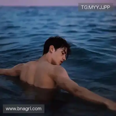 窦耿禹
